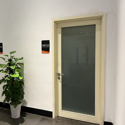 Painted Wood Door with Frosted Glass Insert