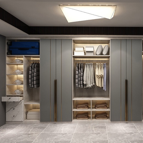 modern closet with wardrobe accessories