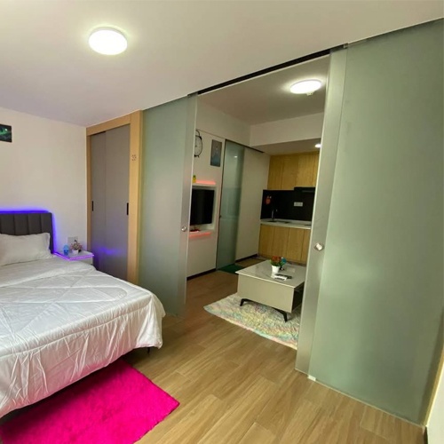 sliding frosted glass room divider with concealed soffit track