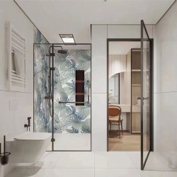 Bathroom Glass Door and Shower Enclosure