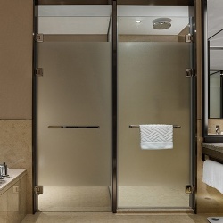 Bathroom tempered and frosted glass door and accessories