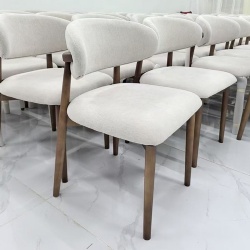 Dining Chair with Various Style and Design
