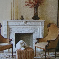 European antique fireplace mantel