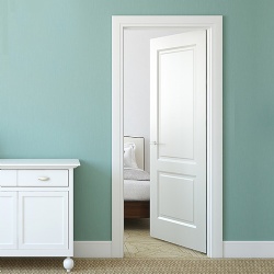 Flat 2 Panel Flush Wood Door