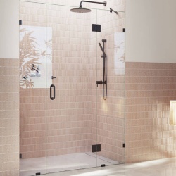 Frameless glass shower door with door hinges
