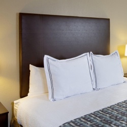 Fully Vinyl Upholstered Wall Mounted Headboard