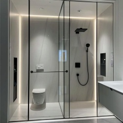 Glass bathroom partition to divide wet and dry area