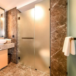 Glass shower door with frosted glass for privacy