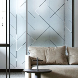 Interior feature wall by frosted glass with desired pattern