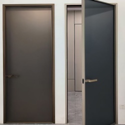 Minimalism Aluminum Glass Hinged Swing Door with Tinted Glass Door Panel