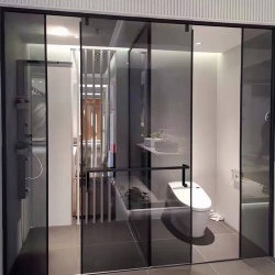 Modern walk in shower with grey tinted glass