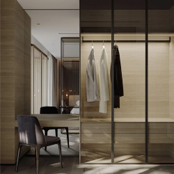 Modern wood wardrobe with aluminum trimmed glass door