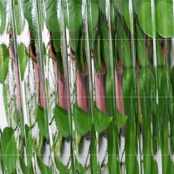 Moru Pattern Textured Building Glass