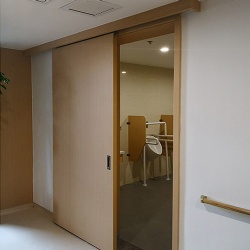 Plastic Laminated Flush Wood Door for Bathroom