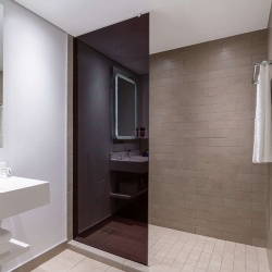Tinted and color glass for shower screen