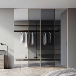 Walkin closet door with dark grey tinted glass panel