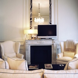 european living room design with white and black zebra mirror stone fireplace