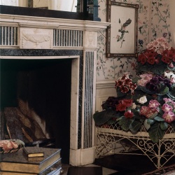 marble chimneypiece for warming up on a dreary day.