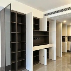 modern closet with wardrobe accessories