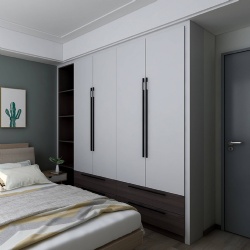 modern closet with wardrobe accessories