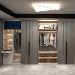 modern closet with wardrobe accessories